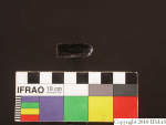 L_V23d1694 J1q39.1 Ux06 dM bl f19.jpg L_V23d1694 J1q39.1 Ux06 dM bl f19